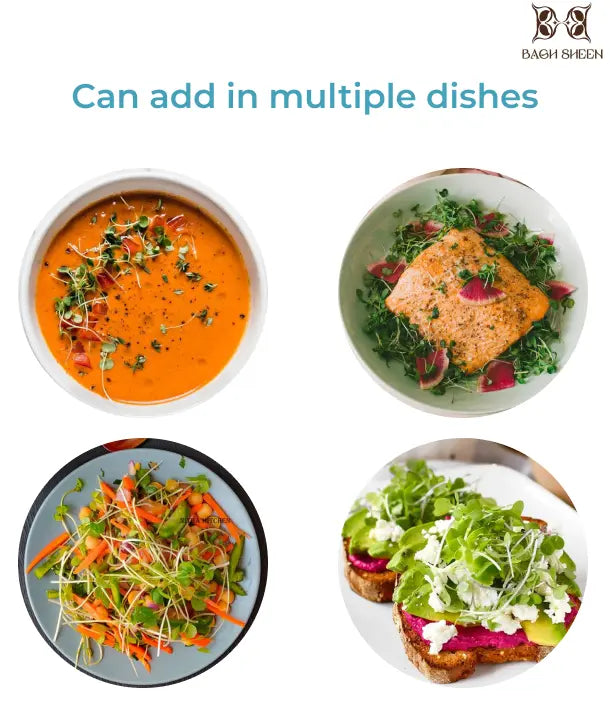 Mustard & Radish White Microgreens Starter Kit Combo - Best Selling Bagh Sheen