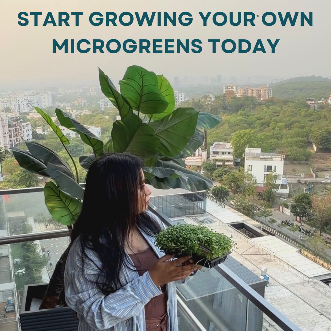 Person holding a plant with text overlay 'Start growing your own microgreens today' over a cityscape.