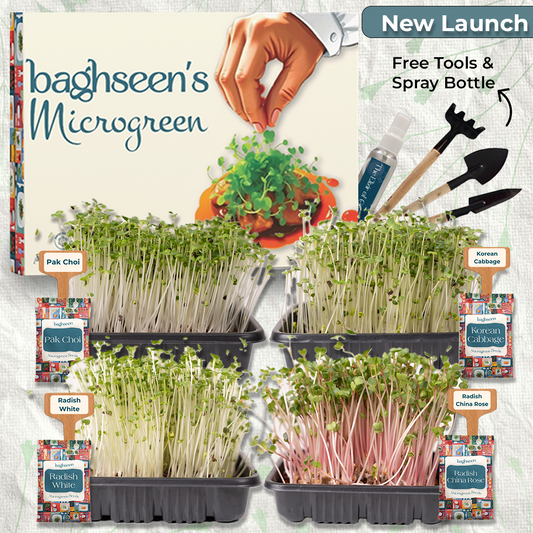 Asian Microgreens Starter Grow Kit Set of 4