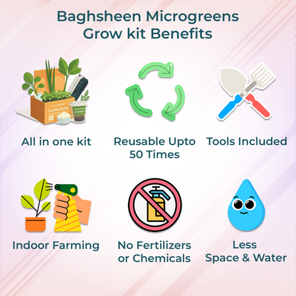 Fenugreek Methi Microgreens Starter Grow Kit