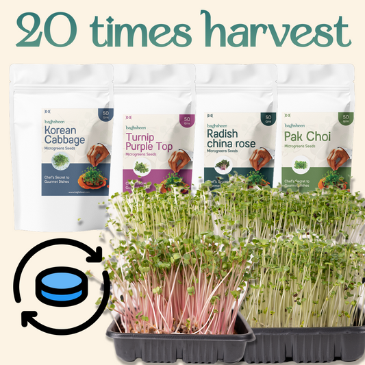 Microgreens Seeds Refills - 20 harvest monthly