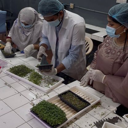 Commercial Microgreens Business System™