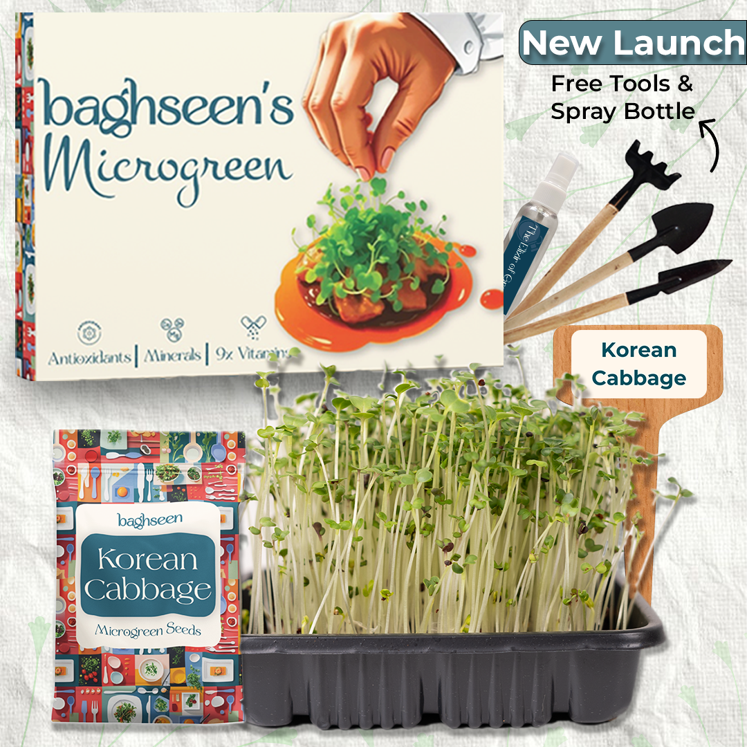 Korean Cabbage Microgreens Starter Grow Kit