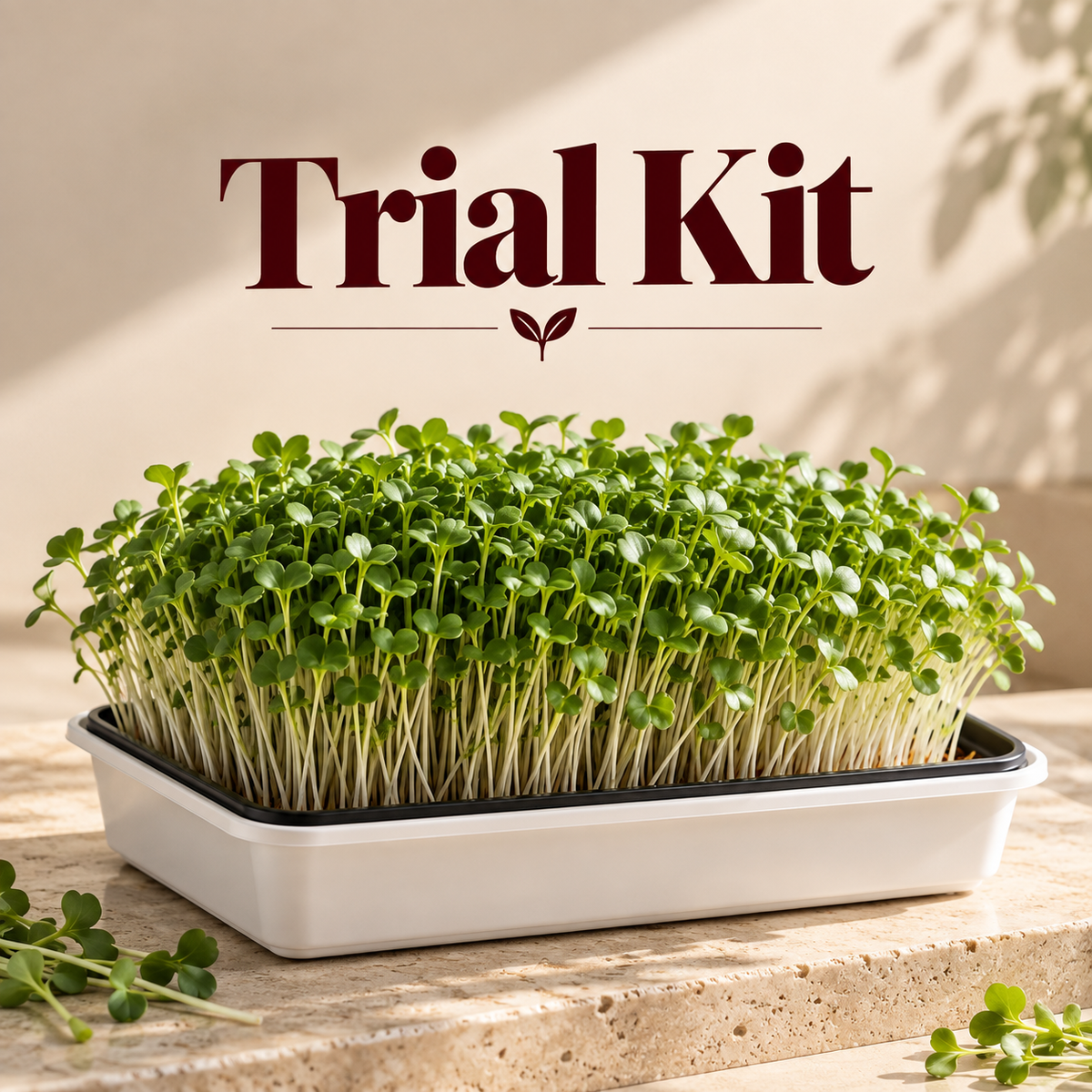 Microgreen Trial Kit