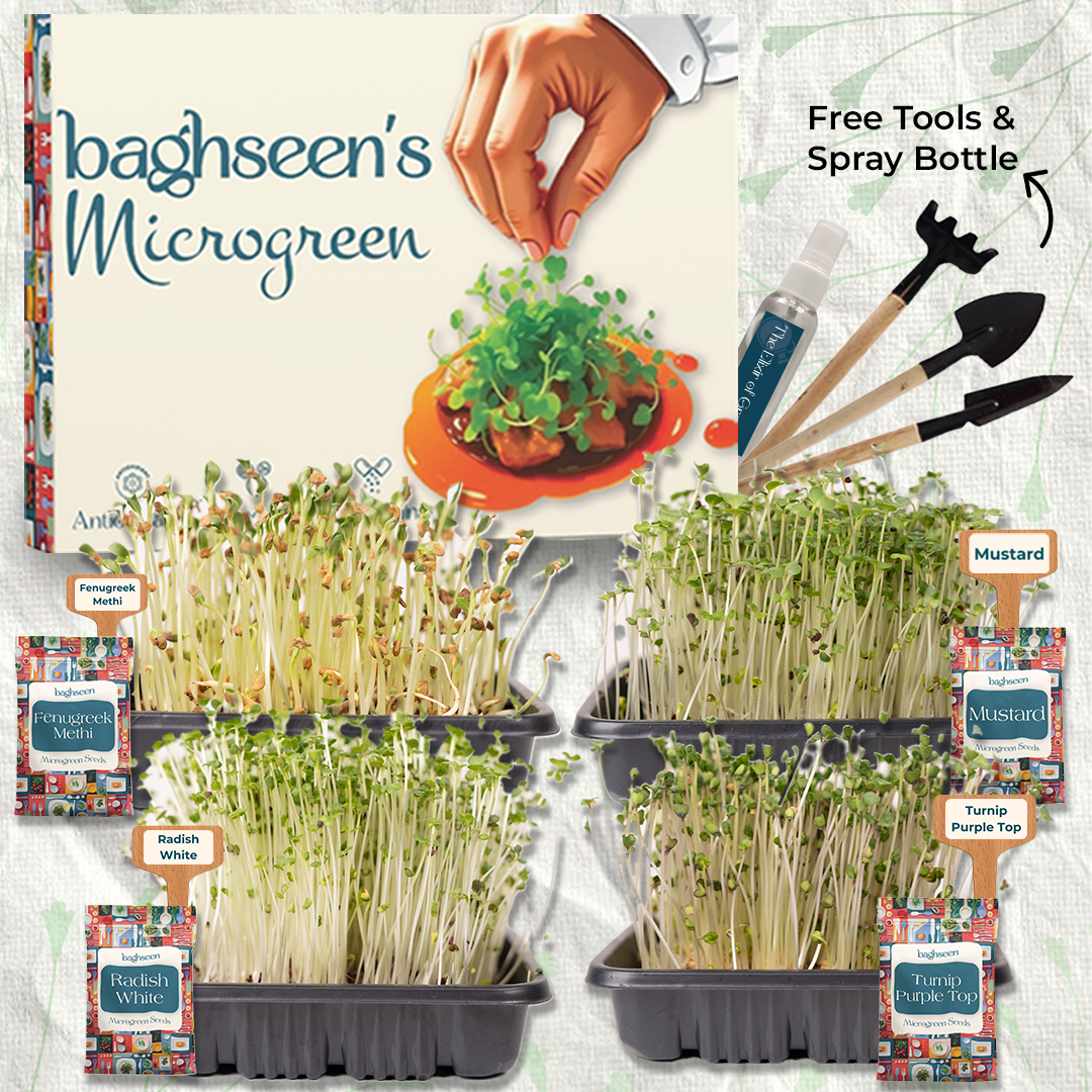 A promotional image featuring a set of four microgreens starter kits with various types of sprouting microgreens. Tools and a spray bottle are included, and the image indicates that the product is associated with a 'Free Tools & Spray Bottle' offer.