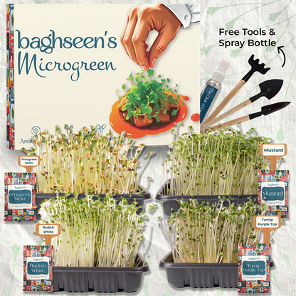A promotional image featuring a set of four microgreens starter kits with various types of sprouting microgreens. Tools and a spray bottle are included, and the image indicates that the product is associated with a 'Free Tools & Spray Bottle' offer.