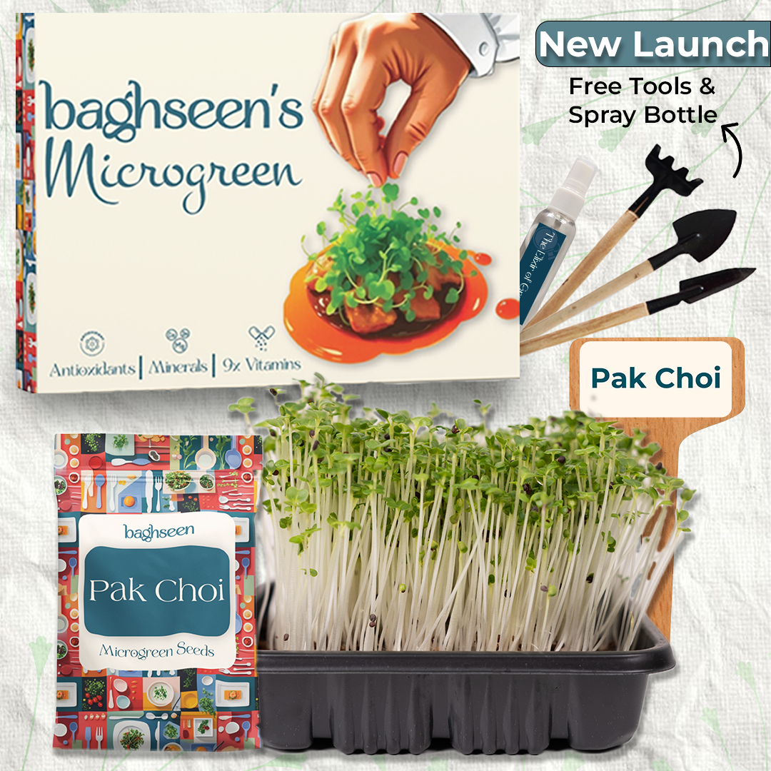Pak Choi Microgreens Starter Grow Kit