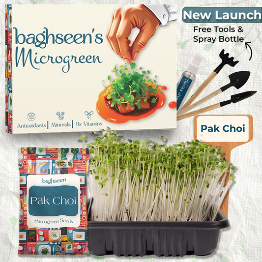 Pak Choi Microgreens Starter Grow Kit