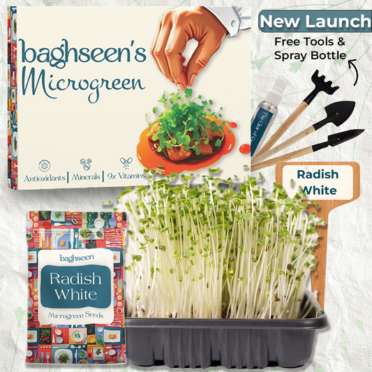 Radish White Microgreens Starter Grow Kit