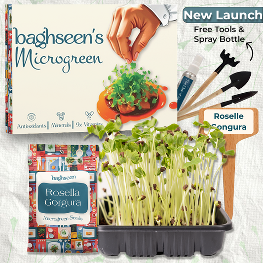 Indian Hibiscus Microgreens Starter Grow Kit