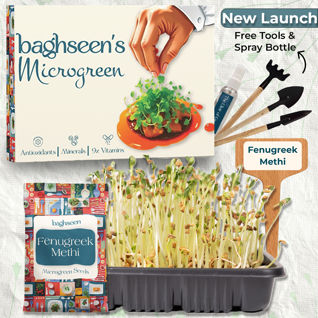 Fenugreek Methi Microgreens Starter Grow Kit
