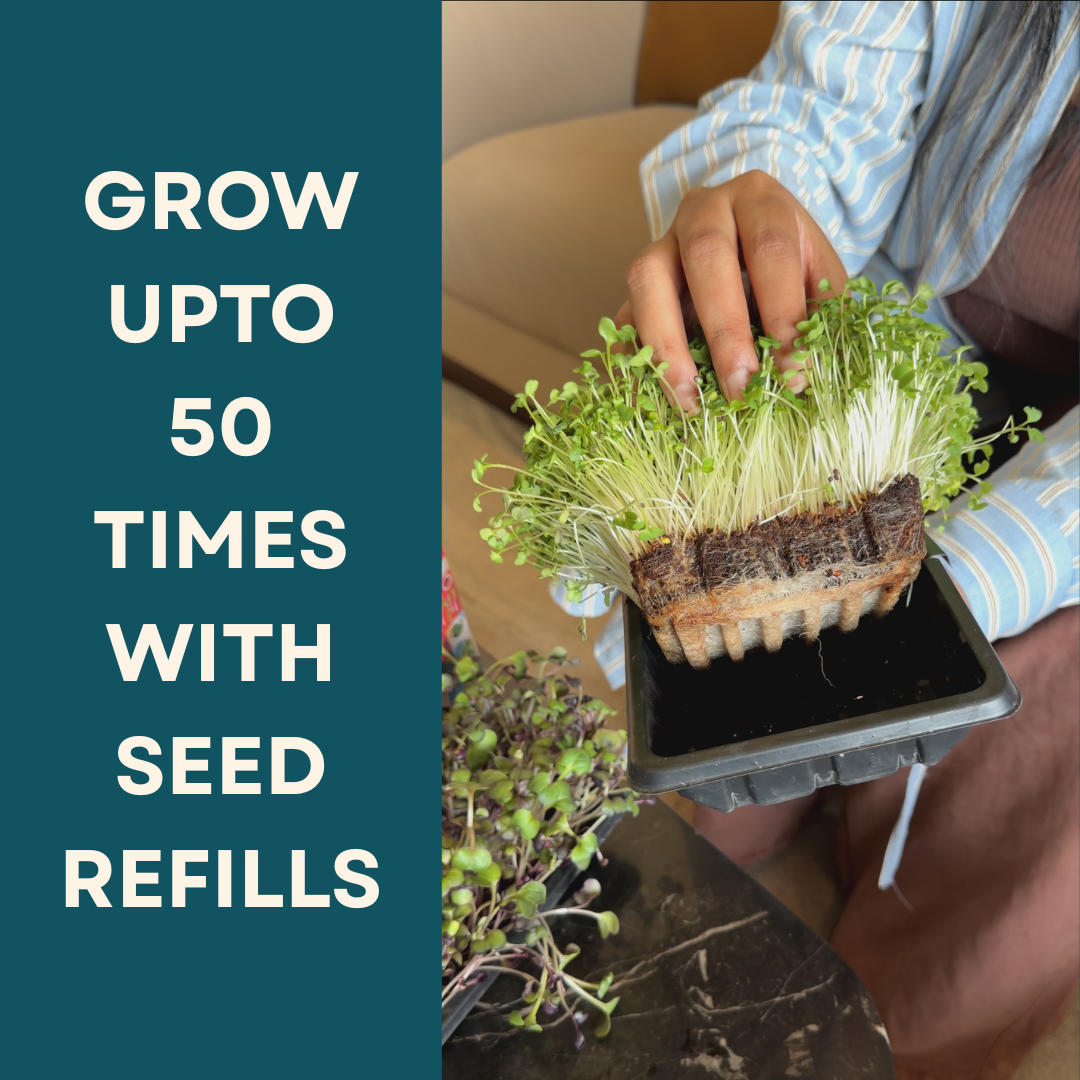 Person holding a tray with microgreens and text about seed refills on a green background