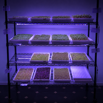 Commercial Microgreens Business System™