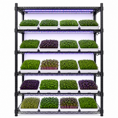 Commercial Microgreens Business System™