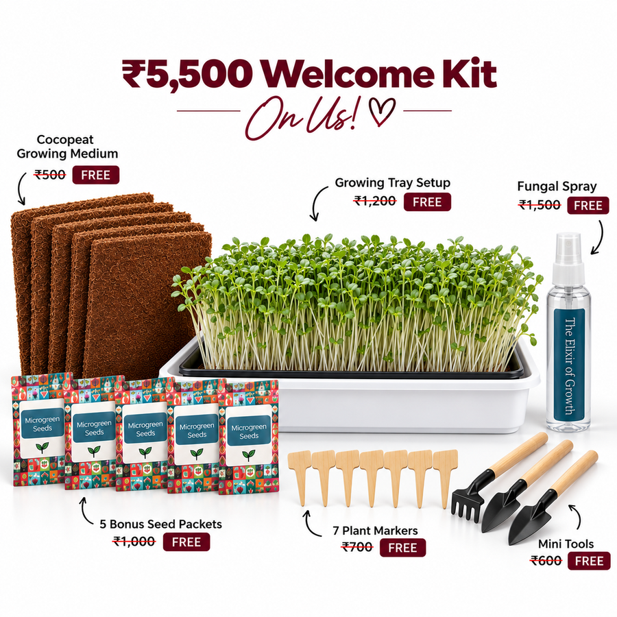 Daily Nutrition Kit welcome kit