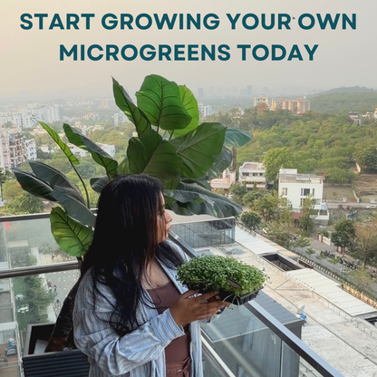 Person holding a plant with text overlay 'Start growing your own microgreens today' over a cityscape.